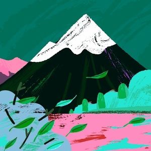 Meet your Posher, Dani